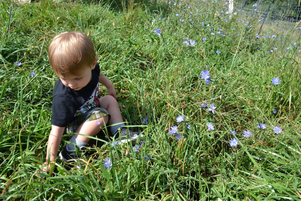 Brain Tune Up - Neuromovements for Greater Calm & Regulation